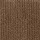 Foss Carpet Tile: Roanoke Tile Chestnut
